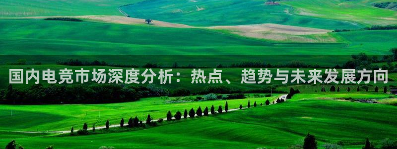 多彩娱乐什么意思：国内电竞市场深度分析：热点、趋势与未来发展