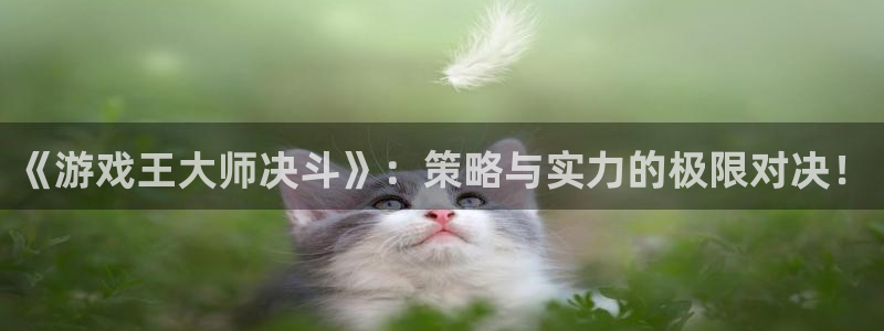 多彩娱乐游戏：《游戏王大师决斗》：策略与实力的极限对决！
