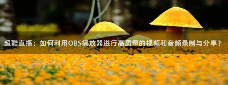 篮球 直播吧：超酷直播：如何利用OBS播放器进行高质量的视频和音频录制与分享？