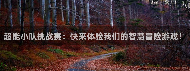 多彩娱乐Ii：超能小队挑战赛：快来体验我们的智慧冒险游戏！