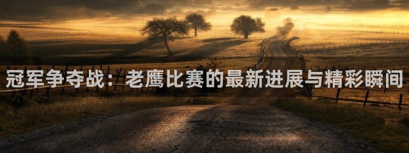 低调直播吧jrs：冠军争夺战：老鹰比赛的最新进展与精彩瞬间
