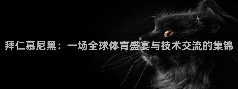 体育cba直播吧：拜仁慕尼黑：一场全球体育盛宴与技术交流的集锦