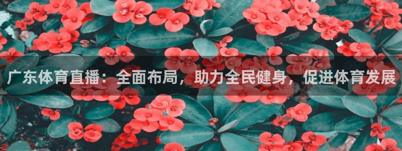 88体育直播吧：广东体育直播：全面布局，助力全民健身，促进体育发展